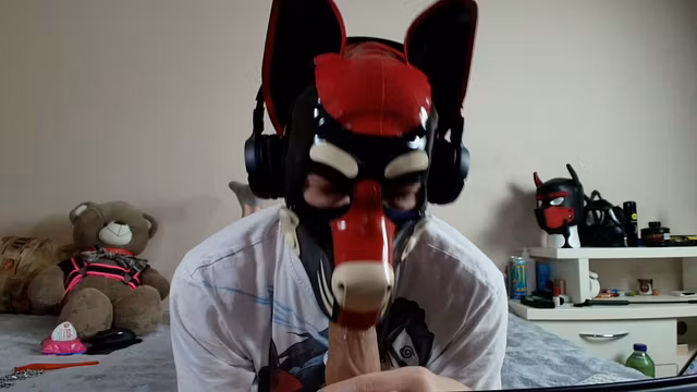 Latex puppy sucks his rubber bone. Watch the full on my Fancentro