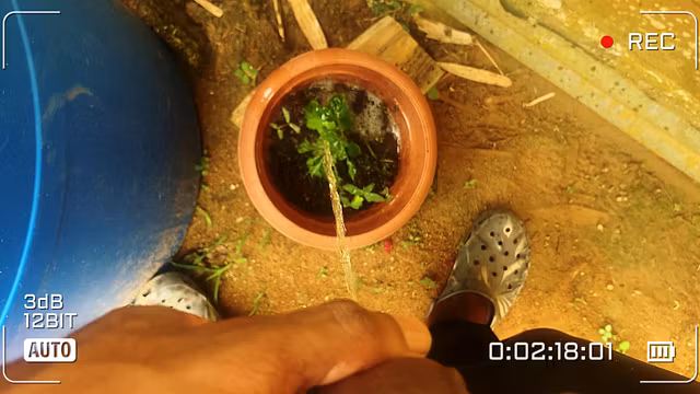 Desperately Pee Watering Flowers Bladder Bulge - Public Piss Relief #3