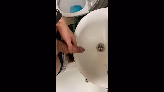 I pissed in the sink while visiting someone.