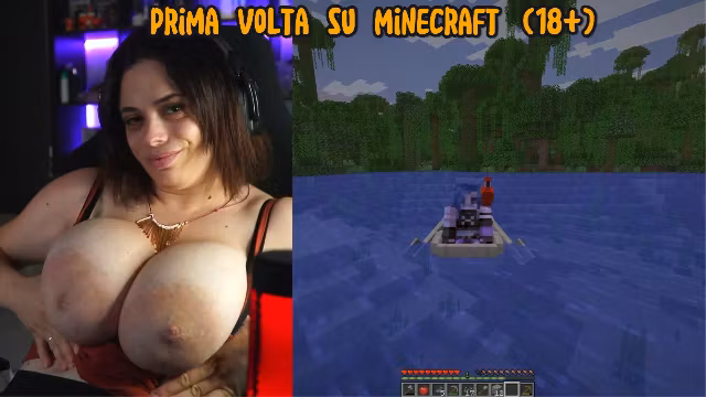 First time on Minecraft