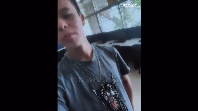 Video paja