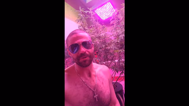 Name that strain