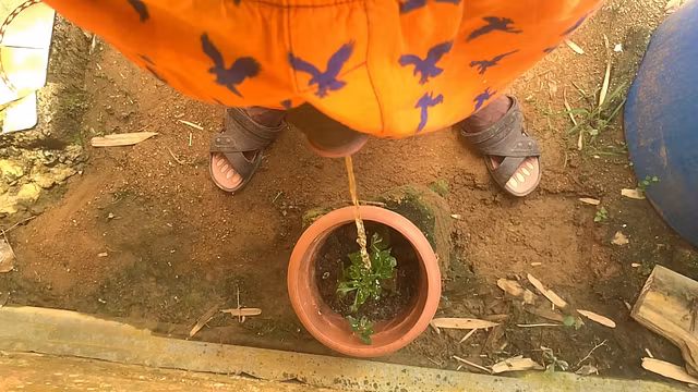 Pee Watering Flowers Public Hands Free - Piss Relief #4