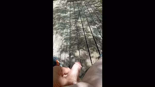 OUT IN THE GARDEN, COCK FINDS WILD RELEASE