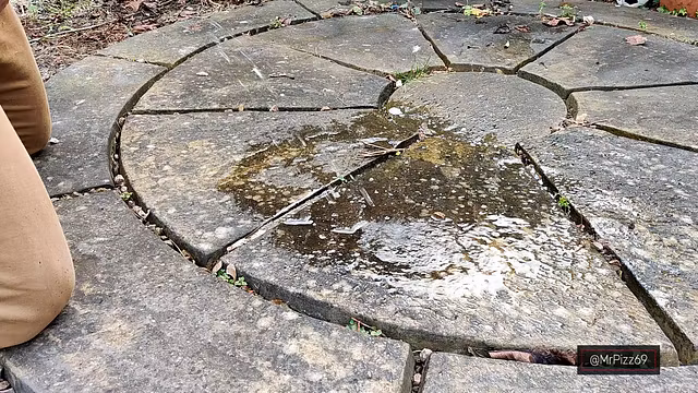 I get on my knees, and piss all over the patio!