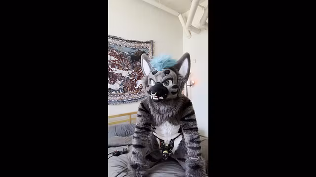 Hyena Gets Milked