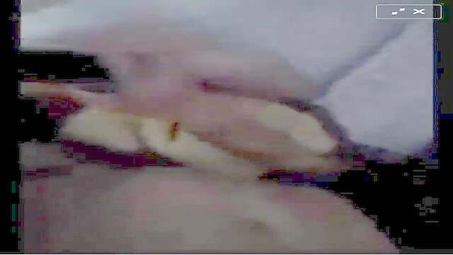 voyerbrazil2