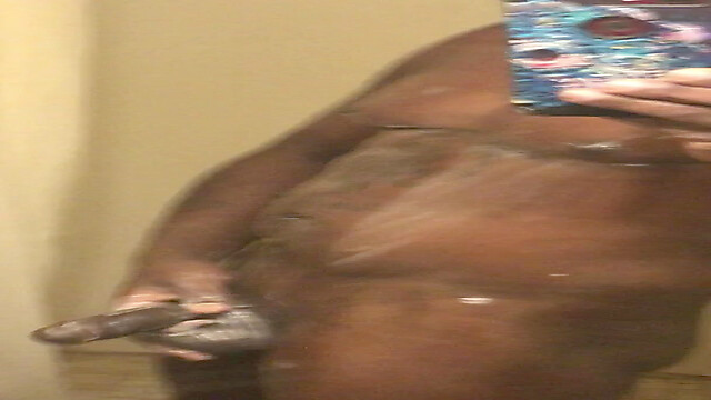 Centaurustheromantic