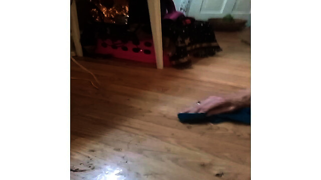 Stephanienicholecoll