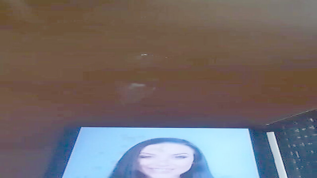 D-Tribute