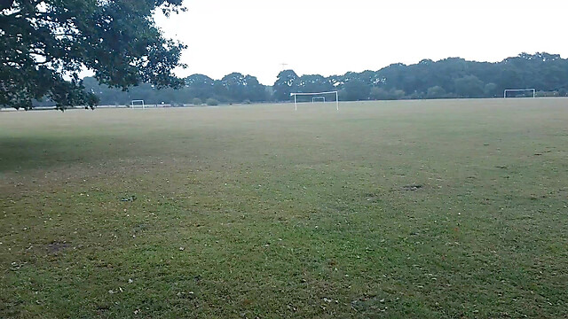 lovepubliclovebriefs