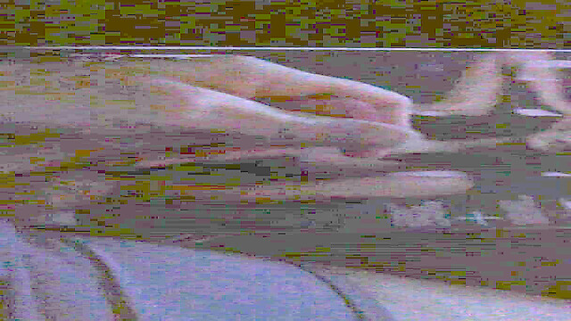 Dragonjgh79