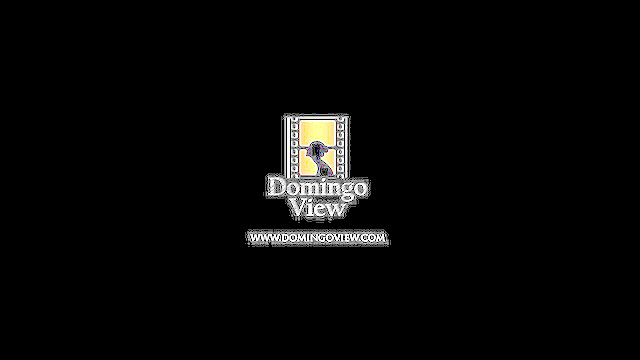domingoview