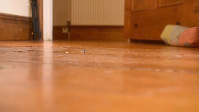 GODDESSDIAMONDLYGIAN