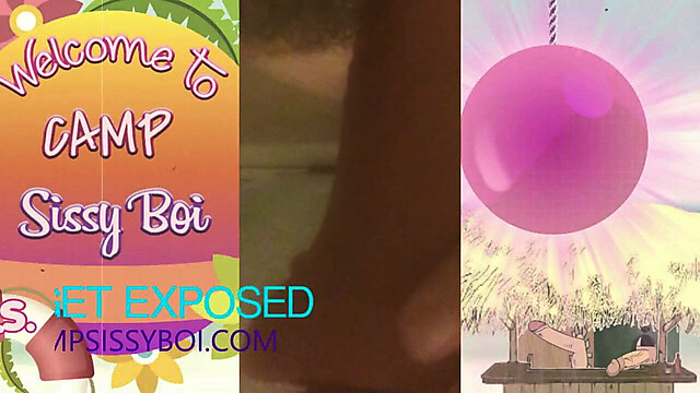 campsissyboi
