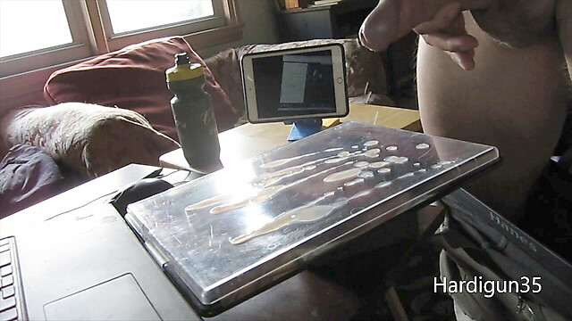 Hardigun35