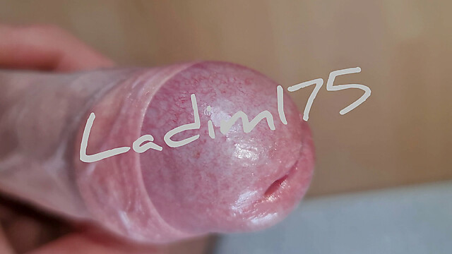 Ladim175