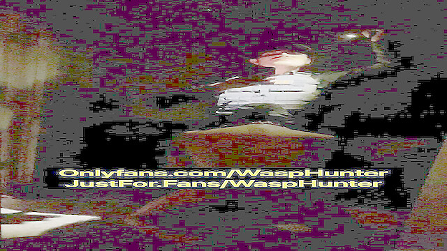 TheWaspHunter