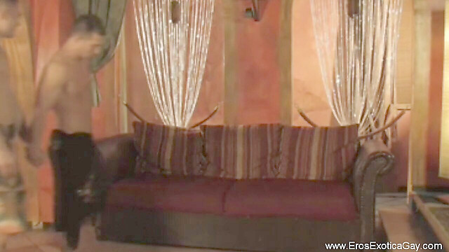 ErosExoticaGay