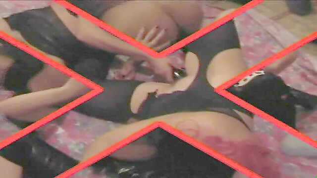 PornoXLife
