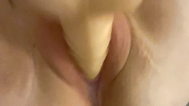 dollipop