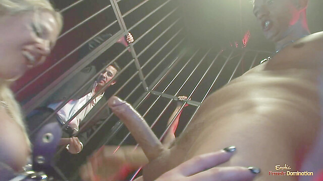 eroticfemaledominati