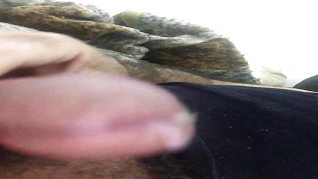 Penis16cmCircunferen