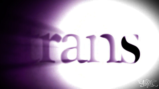 TransAngels