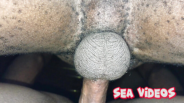 SEA-videos