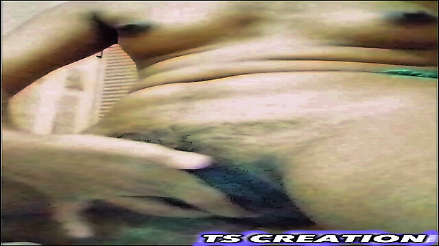 tscreation
