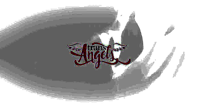 TransAngels