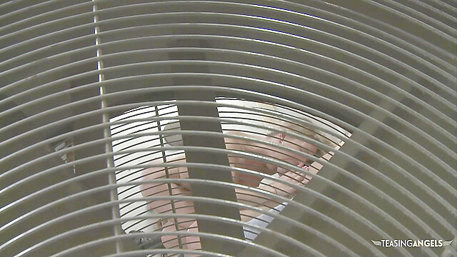 eroticfemaledominati