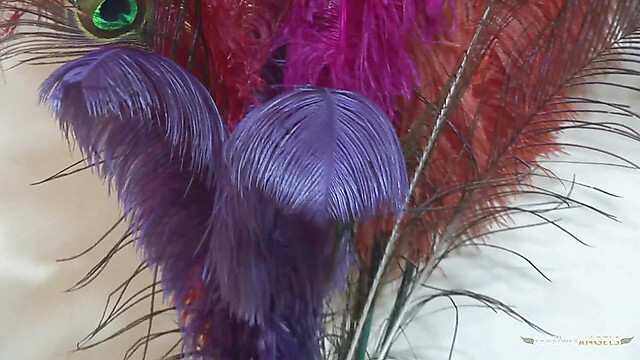 eroticfemaledominati