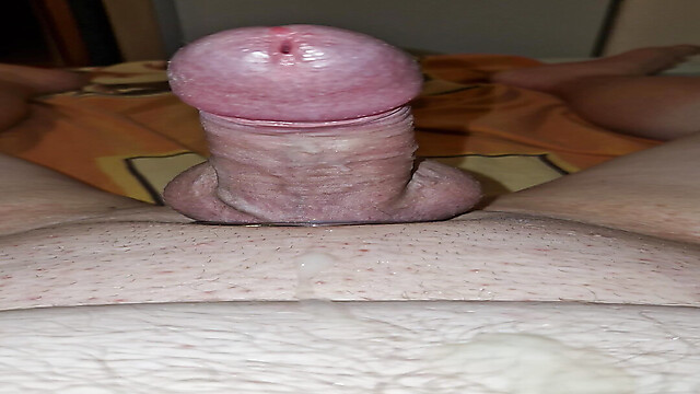 Cock_92