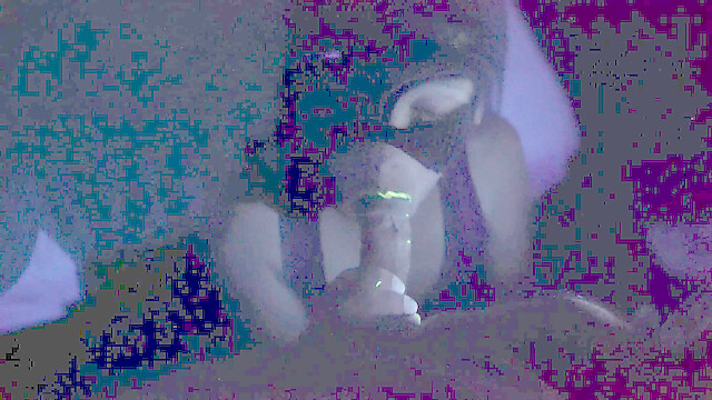 Oksi_xamster