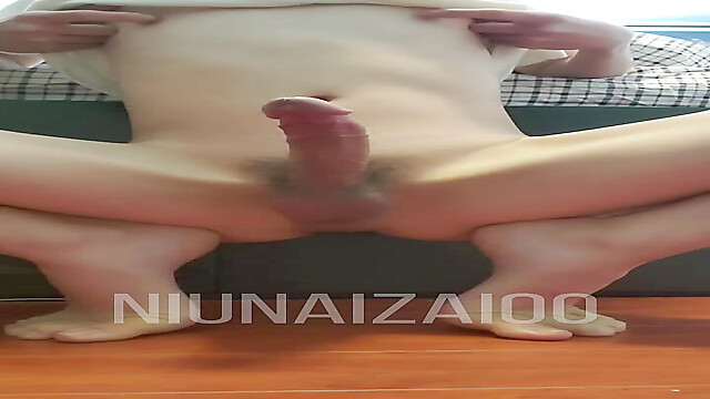 niunaizai00