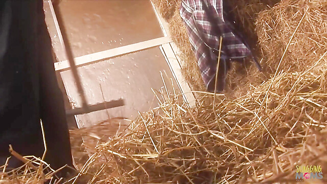 eroticfemaledominati