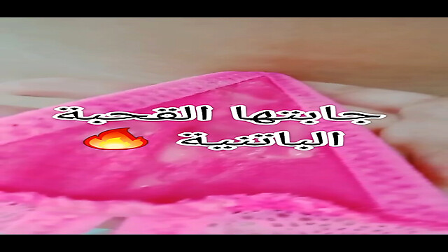 Dina_dz