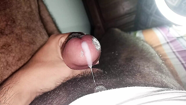 toxtox300