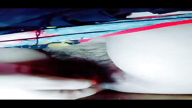 TricolorMusic3