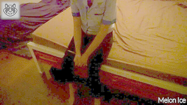 Melon-Ice