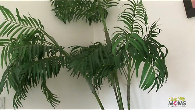 eroticfemaledominati