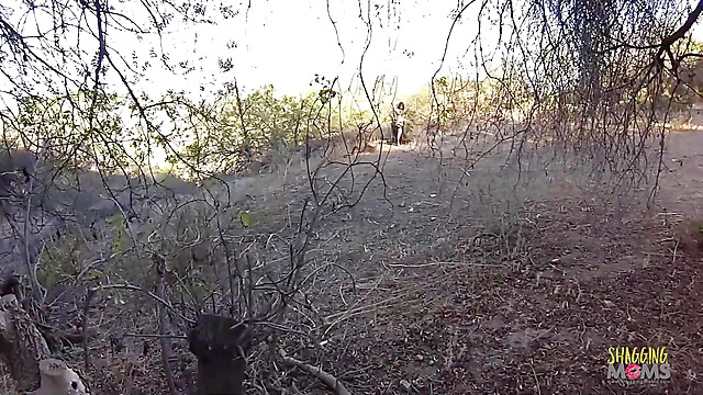 eroticfemaledominati