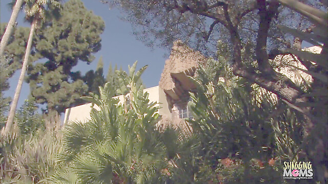 eroticfemaledominati