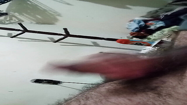 Penis16cmCircunferen