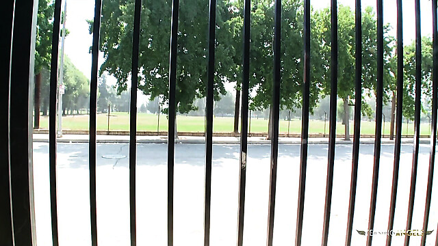 eroticfemaledominati