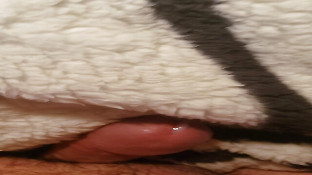 Pawglover69grey59