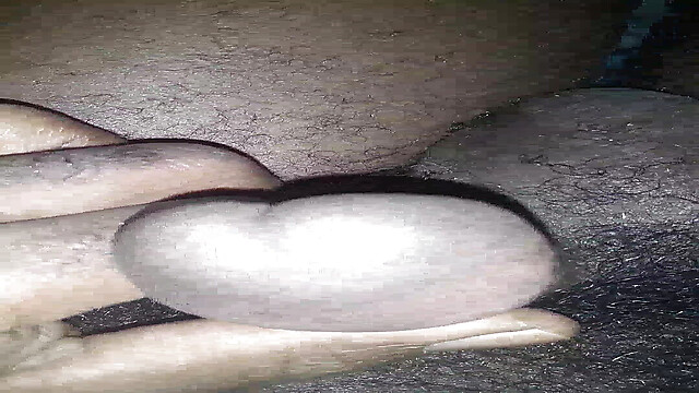 Abdoanaia