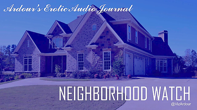 VizArdour