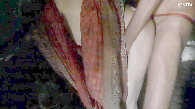 Hotsonabhabi